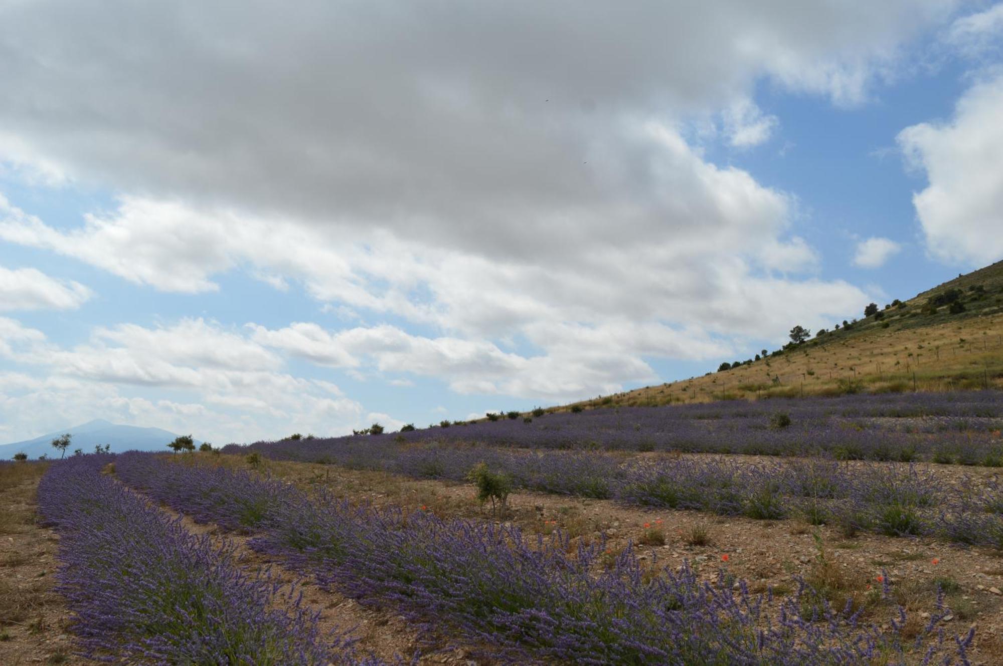 Las Abadias San Felices  Exterior photo